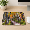 Wooden boardwalk trail through birch trees with vibrant orange and red autumn foliage in Acadia National Park, Maine, printed on a mouse pad