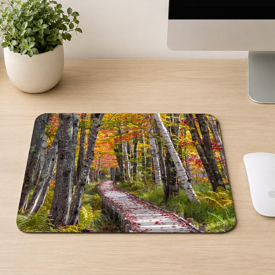 Wooden boardwalk trail through birch trees with vibrant orange and red autumn foliage in Acadia National Park, Maine, printed on a mouse pad