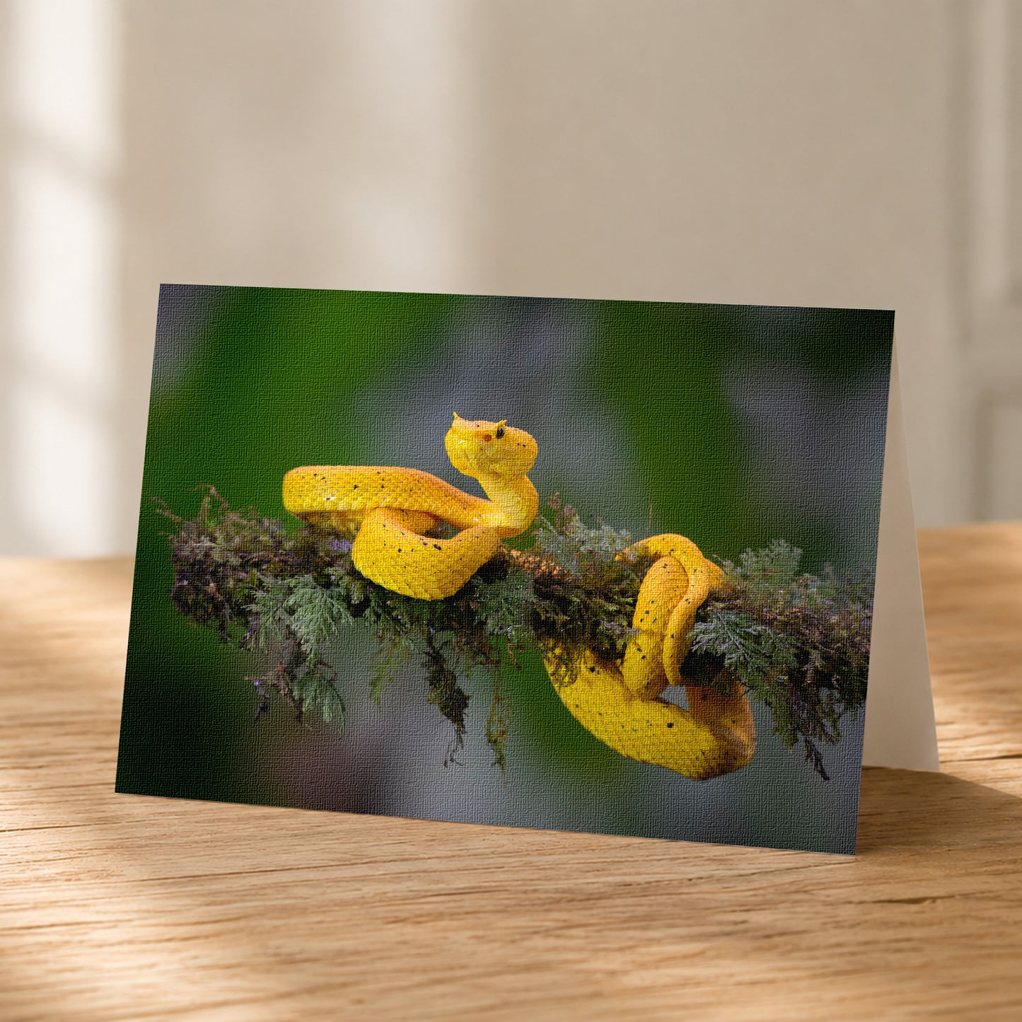 A yellow snake is curled around a branch, with its body coiled and its head resting on the branch.