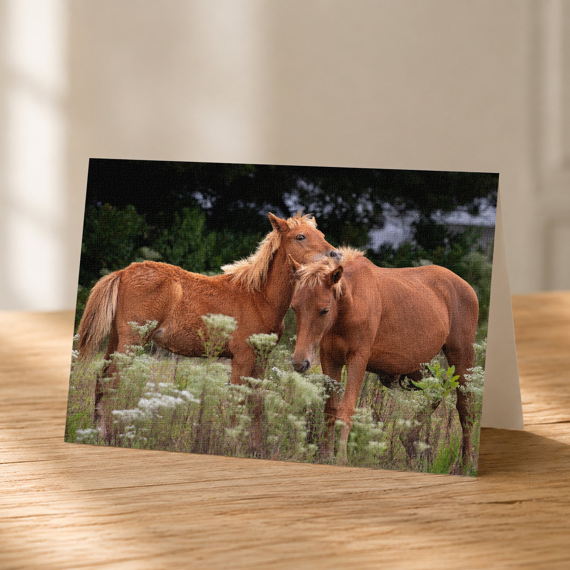 Two brown horses standing in a field of tall grass and wildflowers.