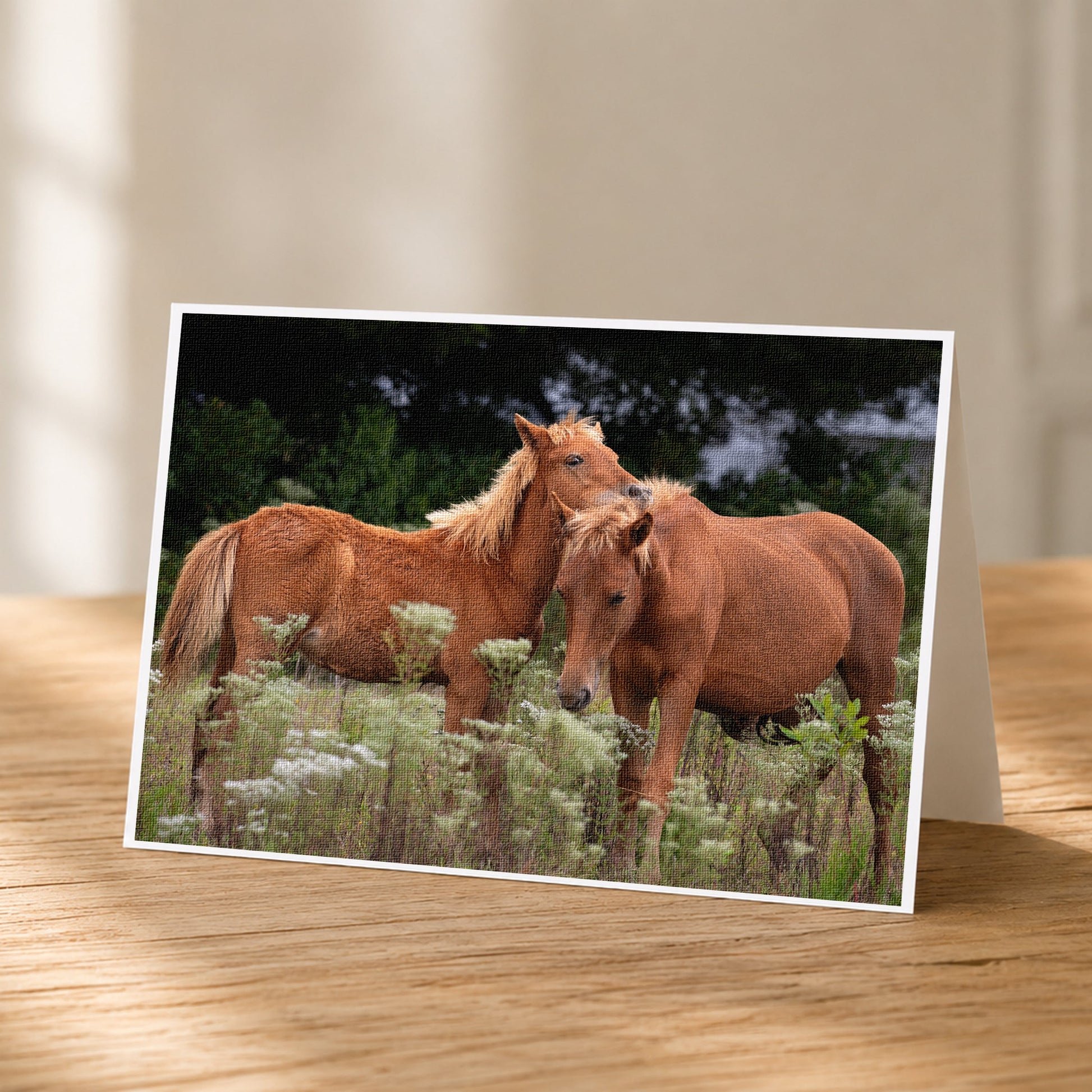 Two brown horses standing in a field of tall grass and wildflowers.
