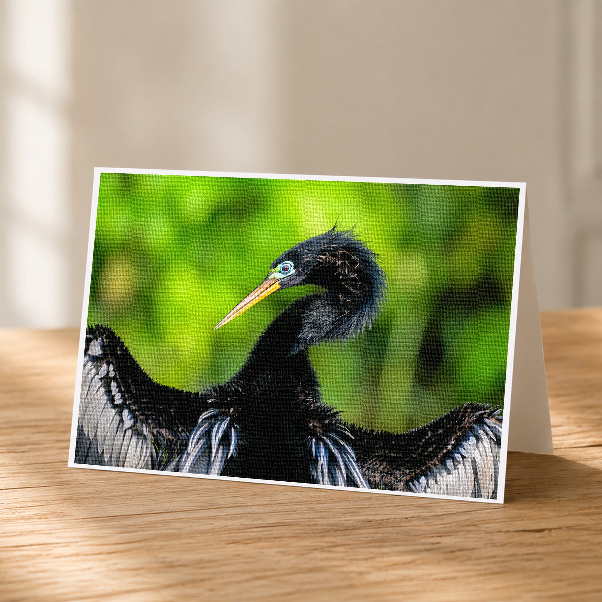 A close-up photograph of a black bird with a long beak, set against a blurred green background.