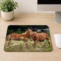 Two wild Assateague ponies nuzzling each other in a wildflower meadow, printed on a mouse pad