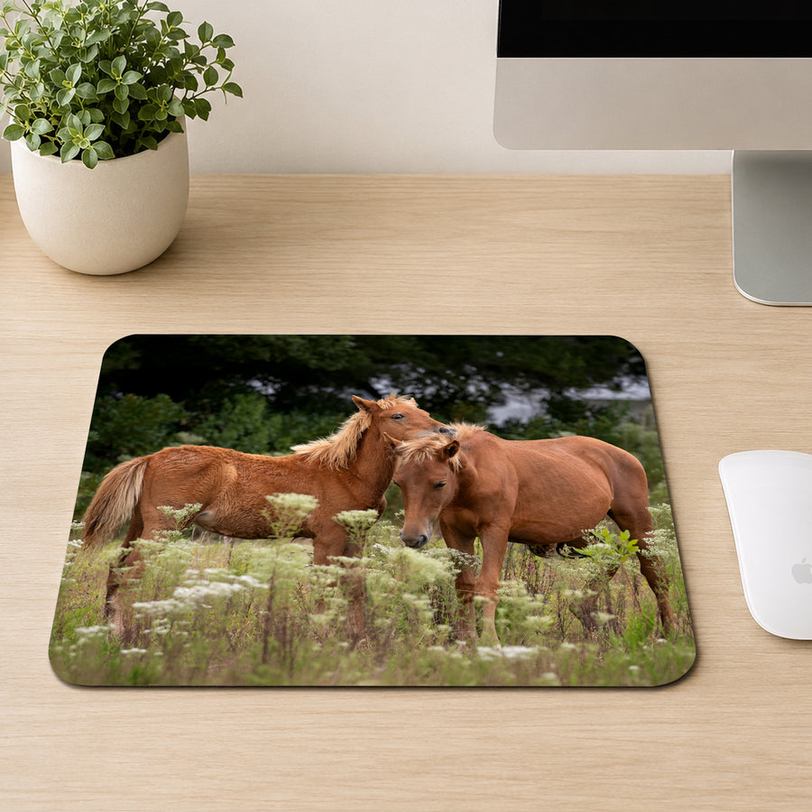 Two wild Assateague ponies nuzzling each other in a wildflower meadow, printed on a mouse pad