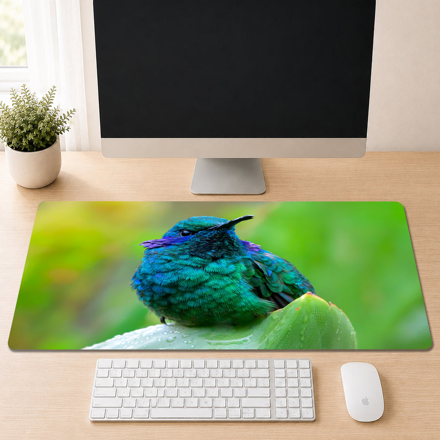 Close-up portrait of a Lesser Violetear hummingbird with iridescent blue-green feathers perched on a dew-covered leaf, shown as a desk mat design on a wood desk