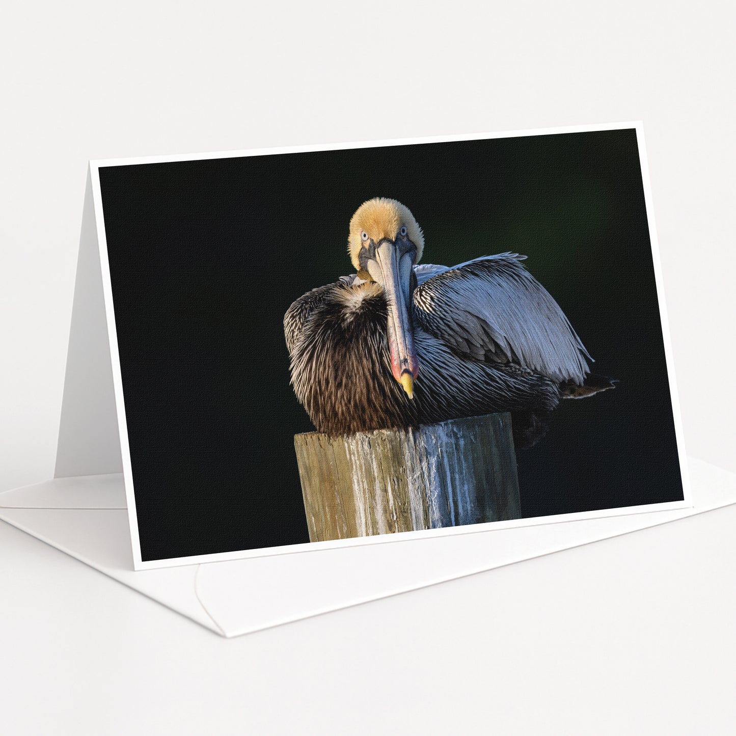 A pelican is perched on a wooden post, its beak open and facing the camera.