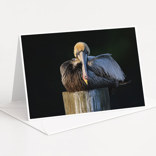A pelican is perched on a wooden post, its beak open and facing the camera.