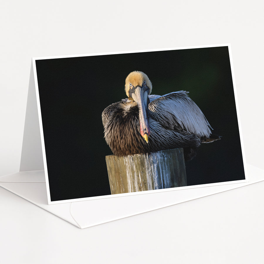 A pelican is perched on a wooden post, its beak open and facing the camera.