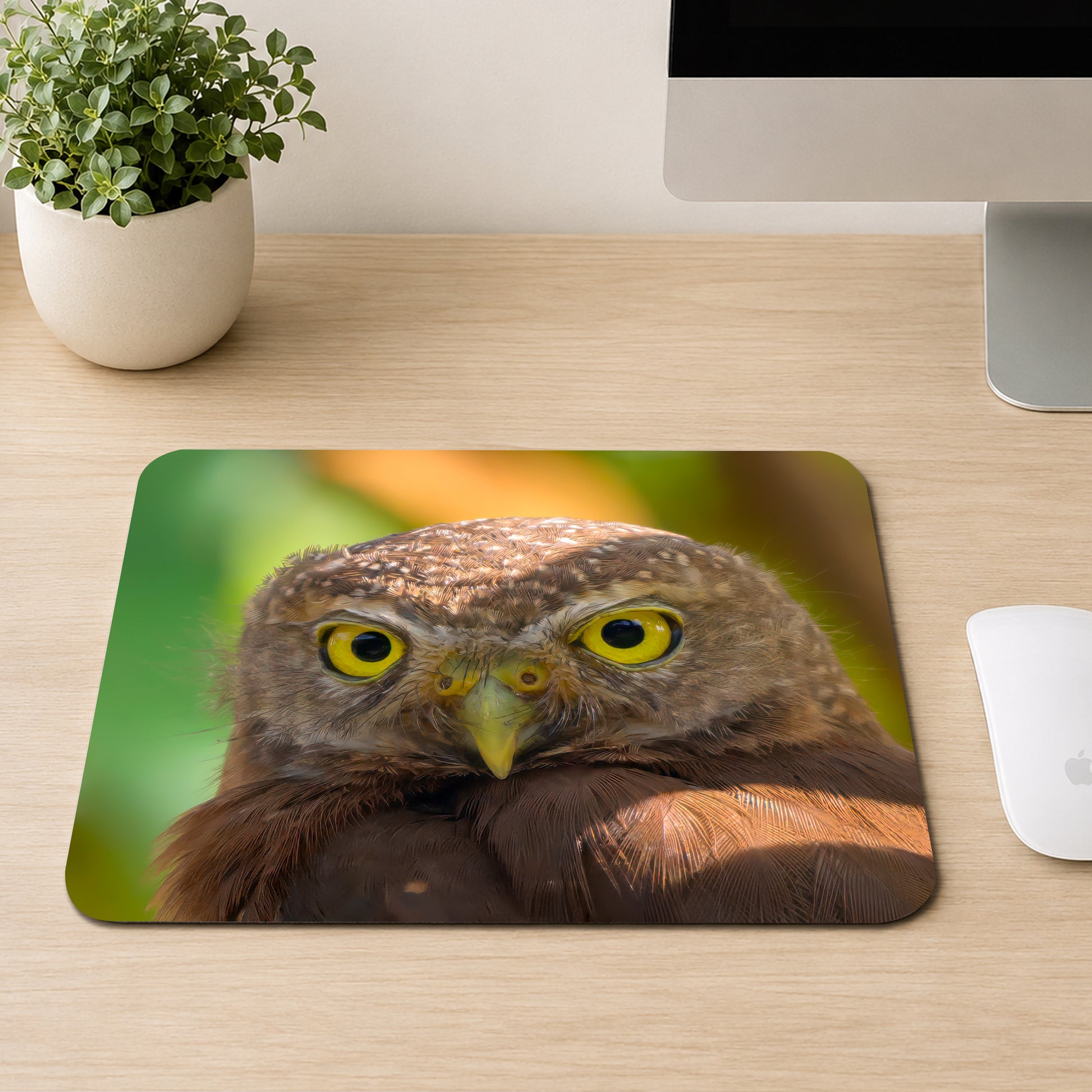 Central American Pygmy Owl with large yellow eyes staring straight into the camera, printed on a mouse pad