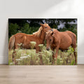 Two brown horses standing in a field of tall grass and wildflowers.