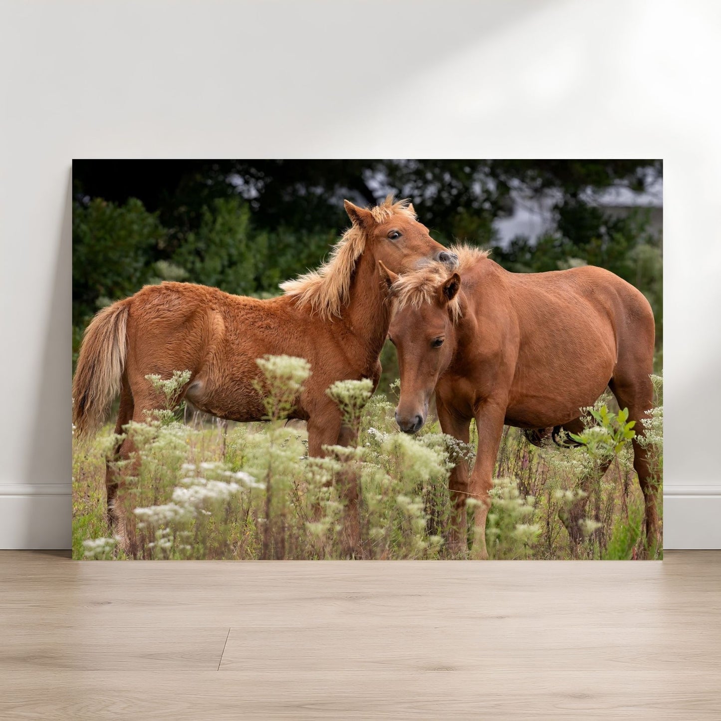 Two brown horses standing in a field of tall grass and wildflowers.