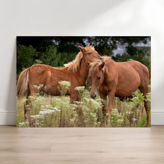 Two brown horses standing in a field of tall grass and wildflowers.