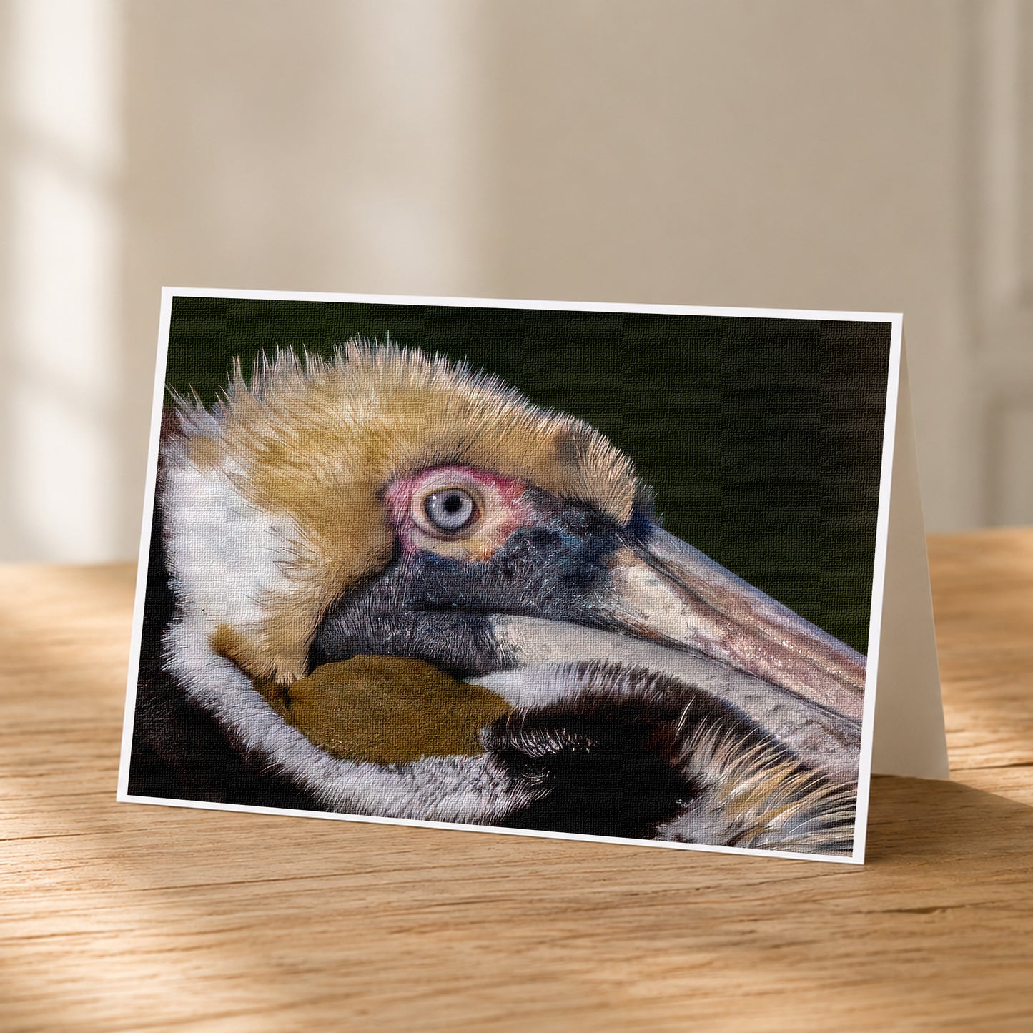 A close-up photograph of a pelican's head, showcasing its distinctive features such as its large beak and eye.