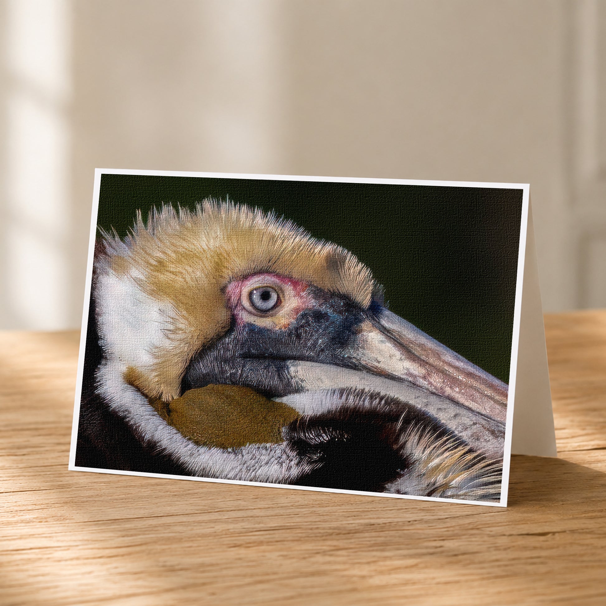 A close-up photograph of a pelican's head, showcasing its distinctive features such as its large beak and eye.