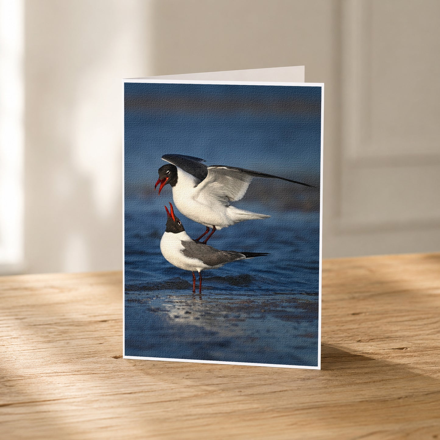 A greeting card featuring two seagulls standing on a wooden surface, with one seagull in flight and the other on the ground.