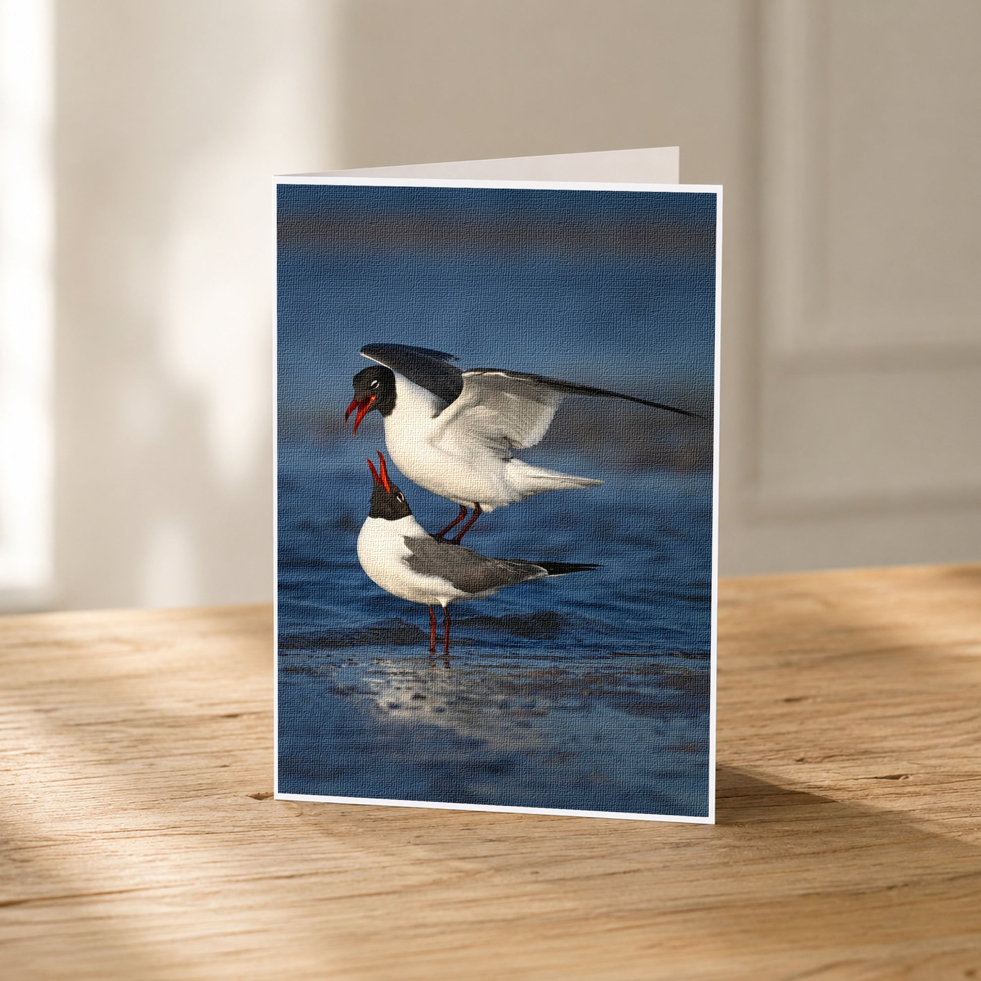 A greeting card featuring two seagulls standing on a wooden surface, with one seagull in flight and the other on the ground.