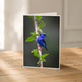 A vibrant blue bird perches on a branch, surrounded by lush green leaves, creating a serene and natural scene.
