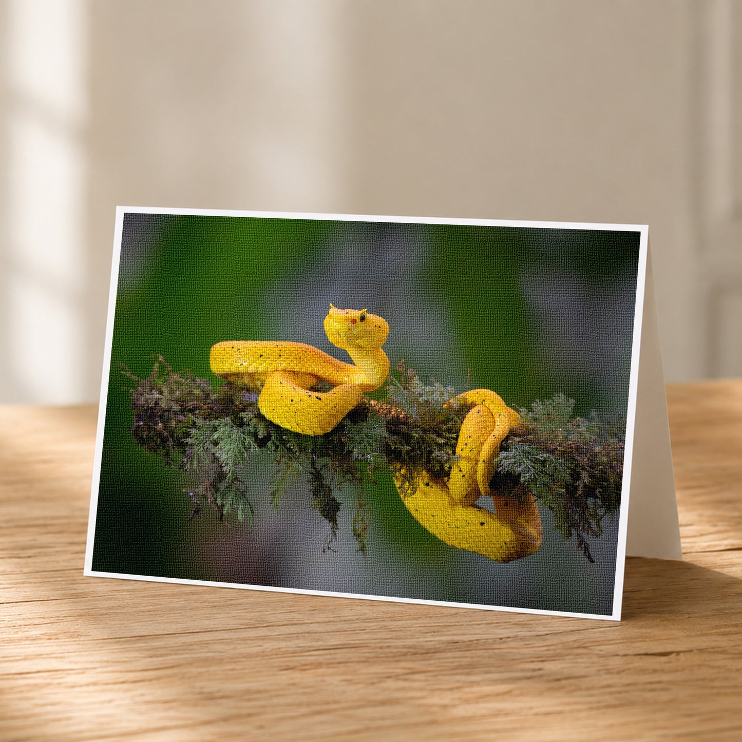 A yellow snake is perched on a branch, coiled and ready to strike.
