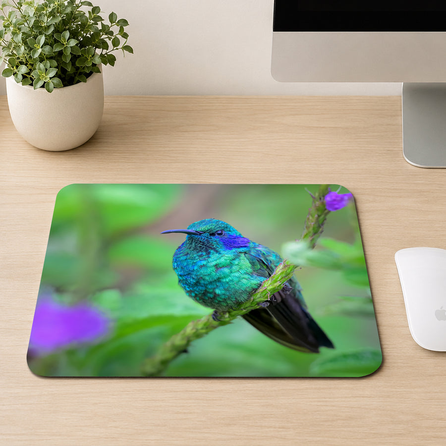 Lesser Violetear hummingbird with iridescent blue-green feathers perched on a flowering stem with purple blossoms, printed on a mouse pad