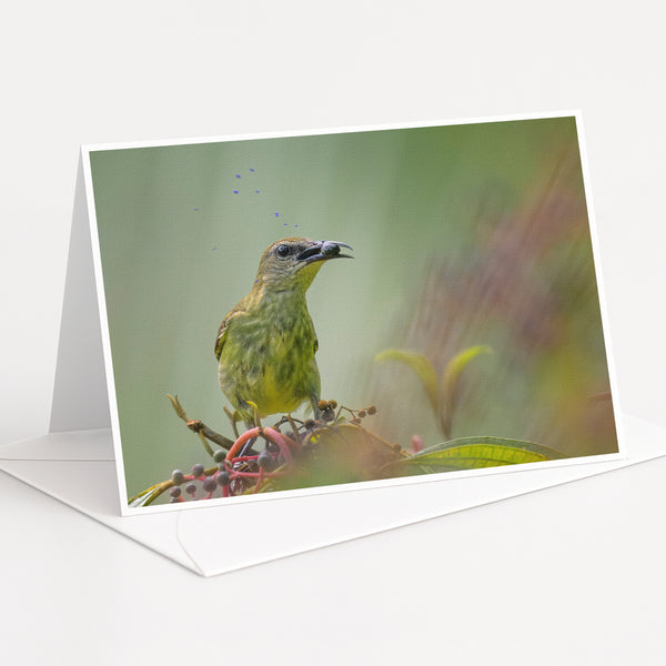 A green bird perched on a branch, surrounded by small purple flowers.
