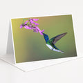 A colorful hummingbird hovers near a cluster of pink flowers, its wings spread wide as it feeds on the nectar.