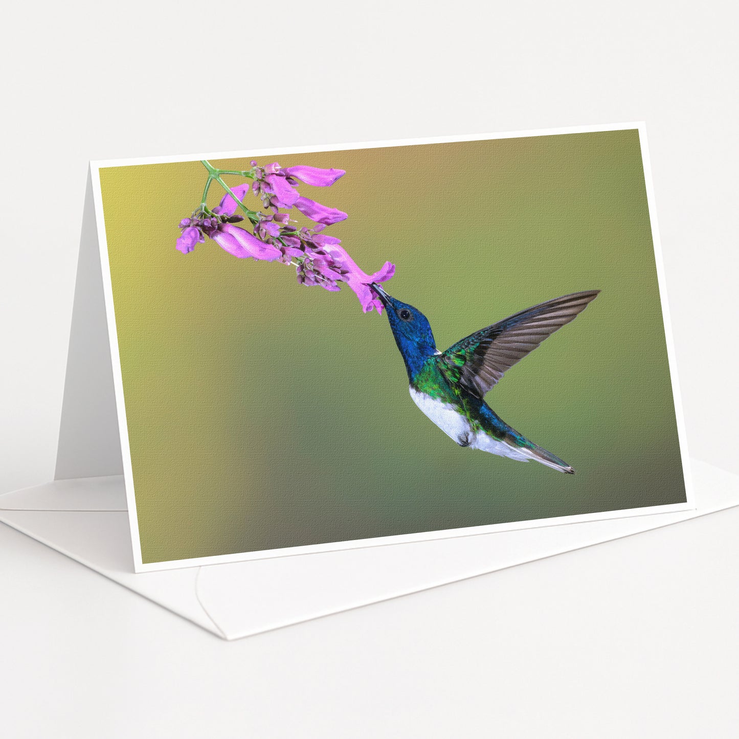 A colorful hummingbird hovers near a cluster of pink flowers, its wings spread wide as it feeds on the nectar.